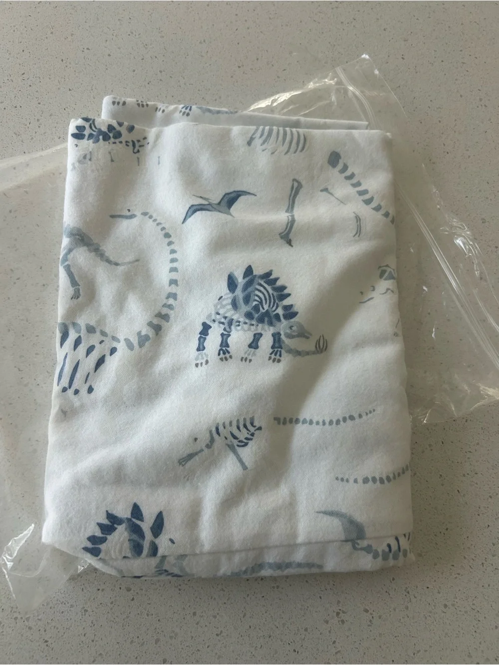 Pottery Barn Dino Bone Dinosaur Flannel Pillowcase Standard